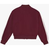 Indian Blue Jeans - Jasje - Donkerrood - V-hals - Lange Mouwen