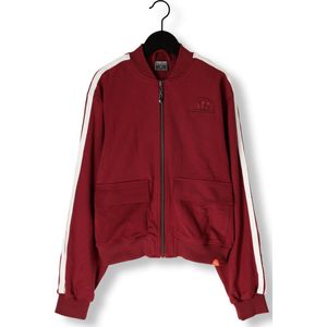 Indian Blue Jeans - Jasje - Donkerrood - V-hals - Lange Mouwen