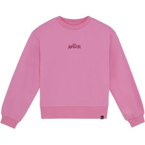 Indian Blue Jeans - Sweater - Roze - Meisjes - Hoodie