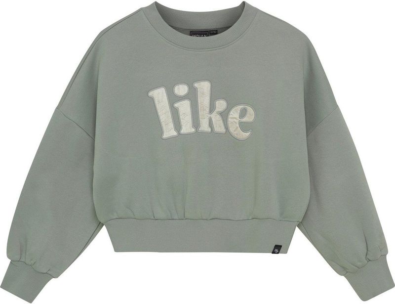 Indian Blue Jeans - Sweater - Lichtgroen - Lange Mouwen - Ronde Hals