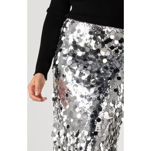 Moves - Lubinu - Rok - Grijs - Zilver - Midi