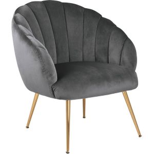 Fauteuil Philadelphia Grijs - Giga Living