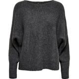 Only Onldaniella Pullover Knt Noos Dames Trui