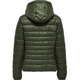 Damesjas - Lichte - Bodywarmer - Regular Fit - Heuplengte - Schuine Zakken