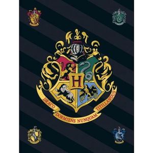 Harry Potter - Kinderdeken - Donkere Kleuren - 100% Fleece - Hogwarts-logo