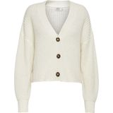 Vest - Gebreid - V-Hals - Lange Mouwen - Regular Fit