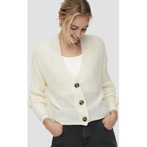 Vest - Gebreid - V-Hals - Lange Mouwen - Regular Fit