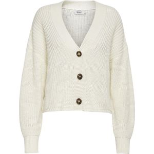 Vest - Gebreid - V-Hals - Lange Mouwen - Regular Fit