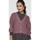 Vest - Gebreid - V-Hals - Lange Mouwen - Regular Fit