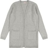 Vesten - Gebreid Vest - Lesly - V-hals - Mélange - Lange Mouw