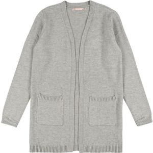 Vesten - Gebreid Vest - Lesly - V-hals - Mélange - Lange Mouw