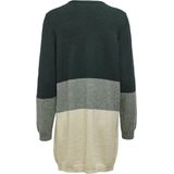 Vest - V-Hals - Lange Mouwen - Gebreid - Regular Fit