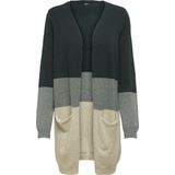 Vest - V-Hals - Lange Mouwen - Gebreid - Regular Fit