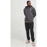 Jack & Jones PlusSize Cargohose »PAUL FLAKE«, Bis Gr. 54