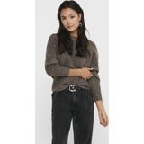 Only Onldaniella Pullover Knt Noos Dames Trui