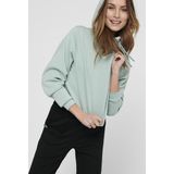 Hoodie - Mint Groen - 60% Polyester - 40% Viscose