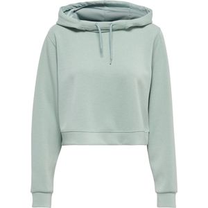 Hoodie - Mint Groen - 60% Polyester - 40% Viscose