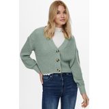 Only Onlcarol Nice Cardigan Knt Noos Dames Vest