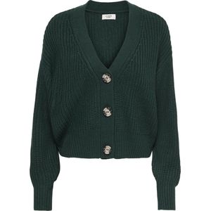 JDY - Vest - V-Hals - Lange Mouwen - Regular Fit