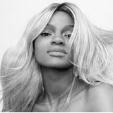 Omniblonde - Cool Signature - Conditioner - Versterkt Haar - Neutraliseert Geel en Koper Tinten