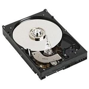 Dell Hnwhh (1 TB, 3.5"), Harde schijf