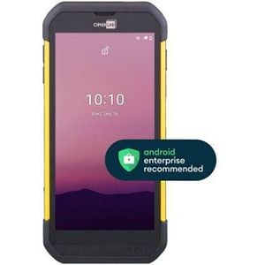 Cipherlab RS35 Android 10 (1D streepjescodes, 2D-streepjescodes), Barcode scanner, Zwart