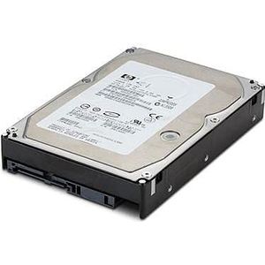 Hewlett Packard Enterprise - DRV HD - Harde Schijf - 300GB - 2.5 Inch - SAS