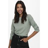 Only Onlrica Life Pullover Knt Noos Dames Trui
