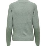 Only Onlrica Life Pullover Knt Noos Dames Trui