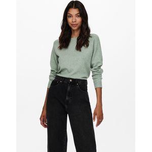 Only Onlrica Life Pullover Knt Noos Dames Trui