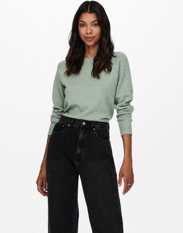 Only Onlrica Life Pullover Knt Noos Dames Trui