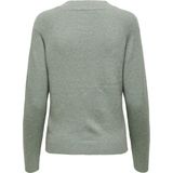 Only Onlrica Life Pullover Knt Noos Dames Trui