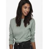 Only Onlrica Life Pullover Knt Noos Dames Trui