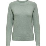 Only Onlrica Life Pullover Knt Noos Dames Trui
