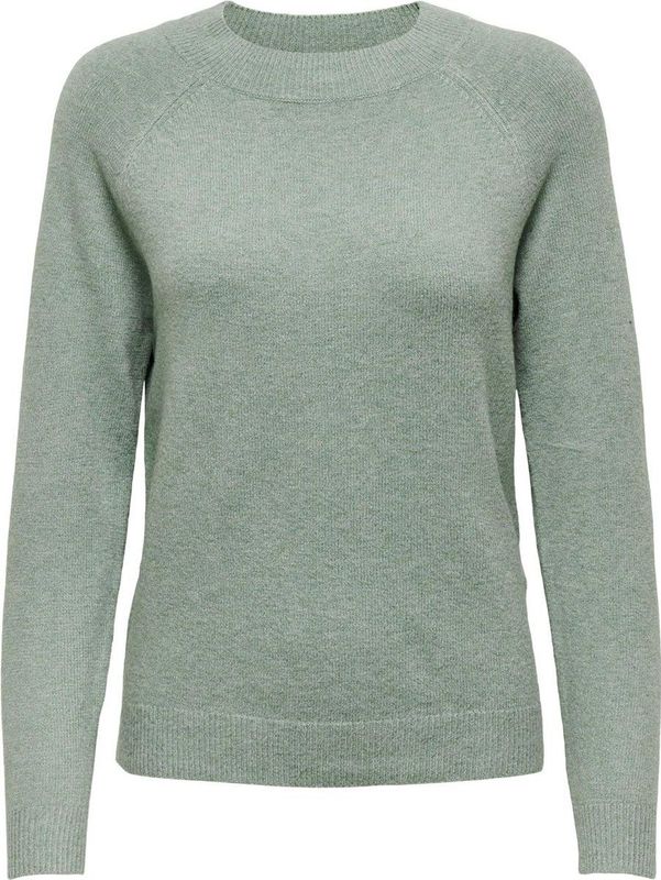 Only Onlrica Life Pullover Knt Noos Dames Trui