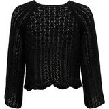Only Trui Onlnola Life 3/4 Pullover Knt Noos 15233173 Black Dames