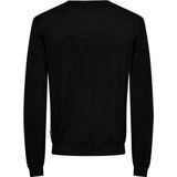 Gebreide Pullover - Ronde Hals - Lange Mouwen - Regular Fit