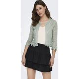 JDY - Vest - V-Hals - 3/4 Mouwen - Cropped - Schelp Detail - Knit Fit