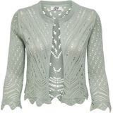 JDY - Vest - V-Hals - 3/4 Mouwen - Cropped - Schelp Detail - Knit Fit