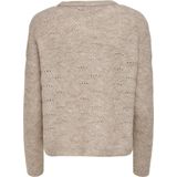 Only Onllolli Pullover Knt Noos Dames Trui