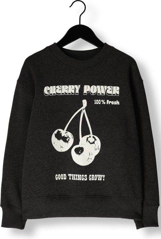 Sofie Schnoor G243243 Truien & Vesten Meisjes - Sweater - Hoodie - Vest- Antraciet