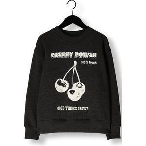 Sofie Schnoor G243243 Truien & Vesten Meisjes - Sweater - Hoodie - Vest- Antraciet