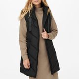 Peak - WVN Padded Panel Quilted Coat - Padded Down - Stand-Up Collar - 100% Polyester