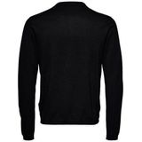 ONLY & SONS Polokragenpullover ONSWYLER LIFE REG 14 LS POLO KNIT NOOS