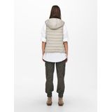 Pumice Stone - Winterjas - Capuchon - Steekzakken - Ritssluiting - Getailleerd