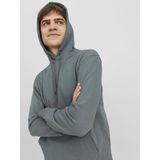 JACK & JONES - Hoodie - Saliegroen - Katoenmix