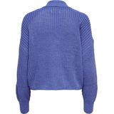 Only Onlcarol Nice Cardigan Knt Noos Dames Trui