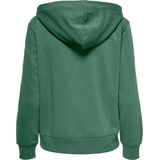 Only - Onlnoomi Logo Hood Noos - Dames - Sweaters