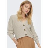 Only Onlcarol Nice Cardigan Knt Noos Dames Vest