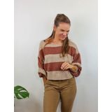 Gestreepte Gebreide Kleding Met Lange Mouwen